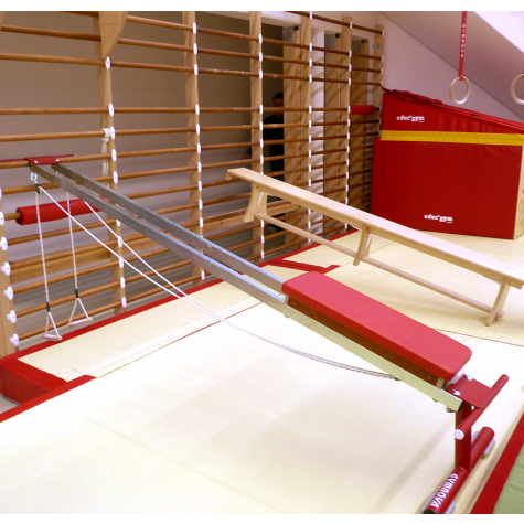 MUSCLE-TRAINING BENCH FOR USE ON WALL BARS