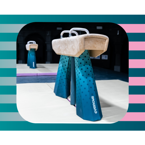 HORSE AND VAULTING TABLES CHAIN GUARD - PARIS 2024 Requirements